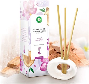 Air Wick Air Freshener Scent Sticks - First Day of Spring