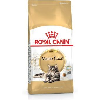 Cat food Royal Canin Adult 4 Kg Chicken