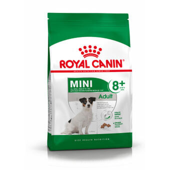 Fodder Royal Canin Mini Adult 8+ Adult Corn 2 Kg