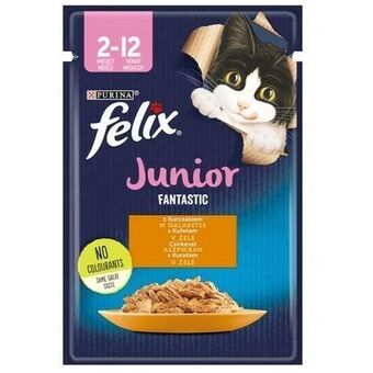 Cat food Purina Fanstastic Chicken