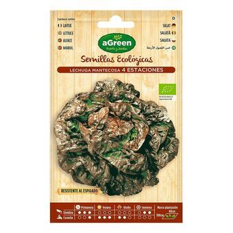 Seeds aGreen Ecological Lettuce