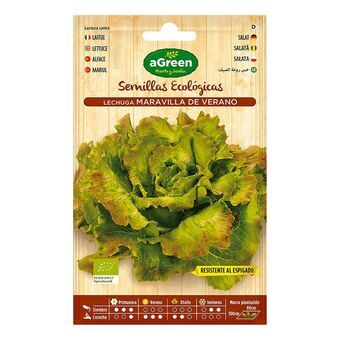 Seeds aGreen Ecological Lettuce