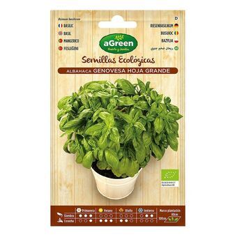 Seeds aGreen Ecological Basil