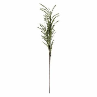 Decorative Plant DKD Home Decor Rosemary EVA (17 x 129 cm)