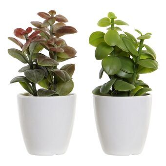 Decorative Plant DKD Home Decor Orange Green Stoneware Polypropylene (PP) (9.8 x 8 x 18 cm) (2 pcs)