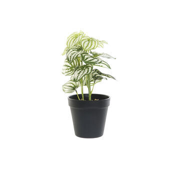 Decorative Plant DKD Home Decor Black Green PVC Plastic (13 x 13 x 27 cm)