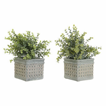 Decorative Plant DKD Home Decor Polyethylene Green Resin (2 pcs) (19 x 19 x 27 cm)