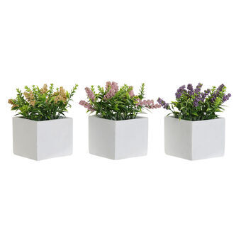 Decorative Plant DKD Home Decor Cement PE