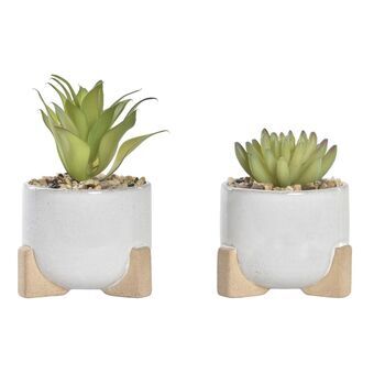 Decorative Plant DKD Home Decor Cement White Green PE (9,5 x 9,5 x 14 cm) (2 Units)