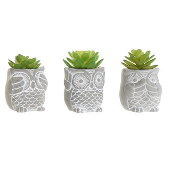 Decorative Plant DKD Home Decor Vase Owl Grey Cement Green PE (7 x 7 x 10 cm) (3 Units)