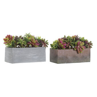 Decorative Plant DKD Home Decor Grey Brown Multicolour EVA PE (23,5 x 11 x 14,5 cm) (2 Units)