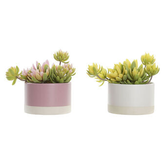 Decorative Plant DKD Home Decor White Green Yellow Light Pink Stoneware PE (15 x 12 x 13 cm) (2 Units)