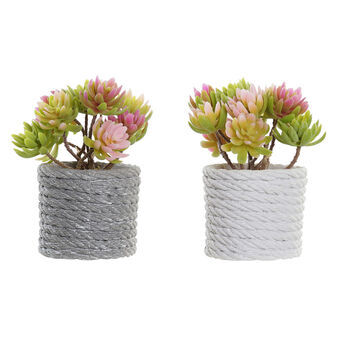 Decorative Plant DKD Home Decor Grey Beige Pink Green EVA PE (2 Units) (12 x 10 x 14,5 cm)