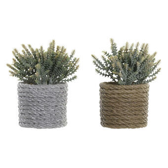 Decorative Plant DKD Home Decor Grey Brown Green EVA PE (11 x 12 x 14 cm) (2 Units)