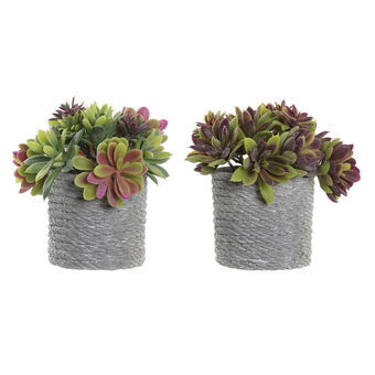 Decorative Plant DKD Home Decor Red Grey Orange Green EVA PE (17 x 15 x 16 cm) (2 Units)