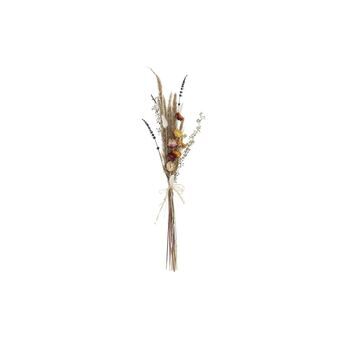 Bunch DKD Home Decor Dry Pink Brown Yellow Dried flower (8 x 3 x 55 cm)