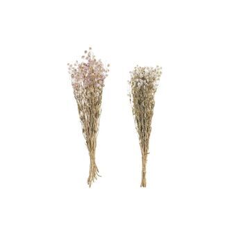 Bunch DKD Home Decor Pink White Dried flower (16 x 3 x 60 cm) (2 Units)