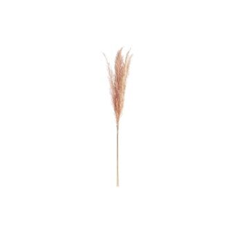 Bunch DKD Home Decor Pampas (30 x 30 x 110 cm)