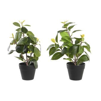 Decorative Plant DKD Home Decor Green PP PE Fig Tree (2 Units) (21 x 18 x 30 cm)