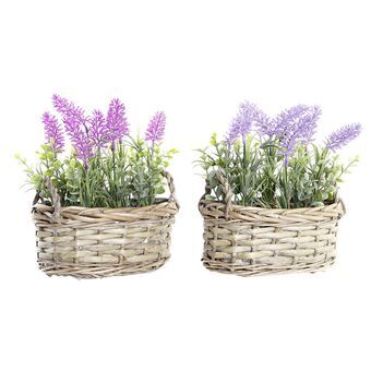 Decorative Plant DKD Home Decor Pink Lilac wicker PE (19 x 12 x 22 cm) (2 Units)