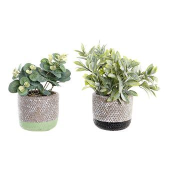 Decorative Plant DKD Home Decor Black Green Resin PE (2 Units) (12 x 12 x 24 cm)