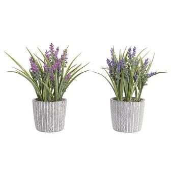 Decorative Plant DKD Home Decor Lilac Resin PE Light mauve (10,5 x 10,5 x 26 cm) (2 Units)