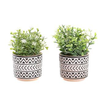 Decorative Plant DKD Home Decor Black Cement White Green PE (2 Units) (10 x 10 x 15 cm)