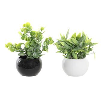 Decorative Plant DKD Home Decor PE (12 x 12 x 15 cm) (2 Units)