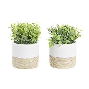 Decorative Plant DKD Home Decor Natural Cement White Green PE (2 Units) (10 x 10 x 16 cm)