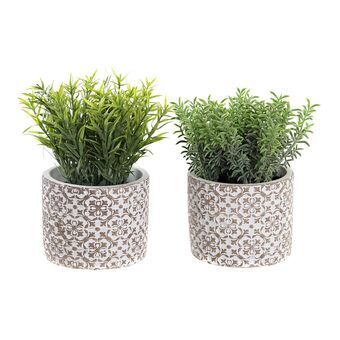 Decorative Plant DKD Home Decor Cement PE (2 Units) (12 x 12 x 18 cm)