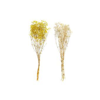 Decorative Plant DKD Home Decor Beige Yellow (2 Units) (20 x 20 x 70 cm)