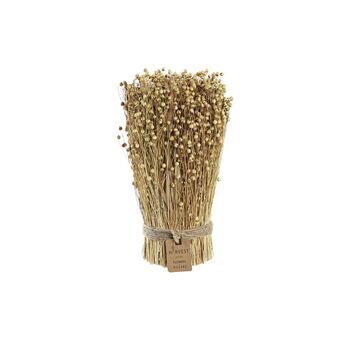 Decorative Plant DKD Home Decor Flower Natural (12 x 12 x 30 cm)