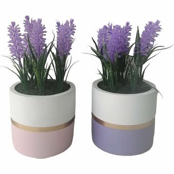 Decorative Plant DKD Home Decor Ceramic PE (10,5 x 10,5 x 20 cm) (2 Units)