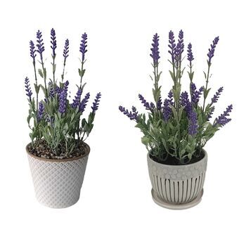 Decorative Plant DKD Home Decor Lavendar Ceramic PE (2 Units) (11 x 11 x 28 cm)