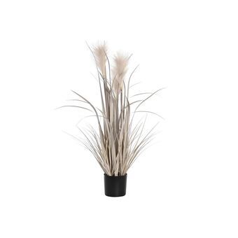 Decorative Plant DKD Home Decor Brush (25 x 25 x 80 cm)