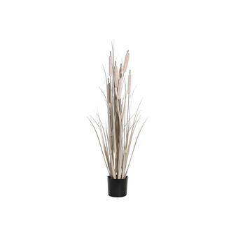 Decorative Plant DKD Home Decor Rushes (25 x 25 x 90 cm)