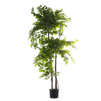 Decorative Plant Alexandra House Living Plastic Fig Tree 18 x 22 x 162 cm