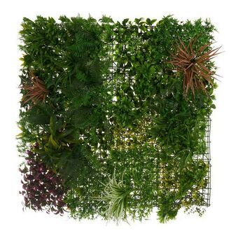 Vertical Garden Kit Tropical Plastic (100 x 14 x 100 cm)