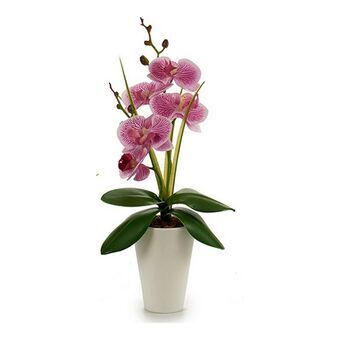 Decorative Plant Orchid Plastic 8 x 35 x 14 cm