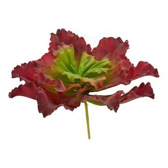 Decorative Plant 8430852557773 (31 x 24 x 31 cm)