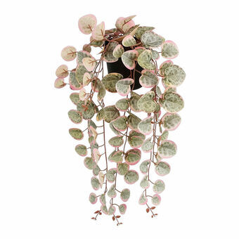 Decorative Plant Mica Decorations Ceropegia Woodii 10 x 46 x 12 cm Artificial For hanging