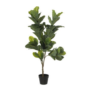 Decorative Plant Alexandra House Living Plastic Fig Tree 14 x 19 x 108 cm