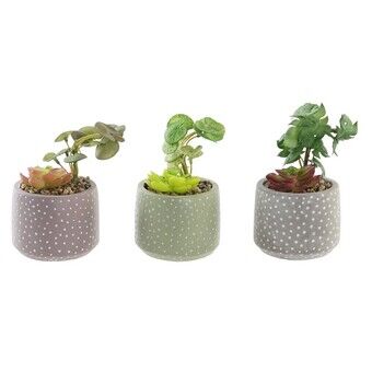 Decorative Plant DKD Home Decor S3020242 Cement PE (10 x 10 x 18 cm)