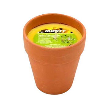 Candle Juinsa Terracotta 8 x 9 cm Plant pot Citronela