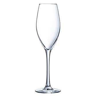 Champagne glass Éclat Emotions Transparent Glass (24 cl)