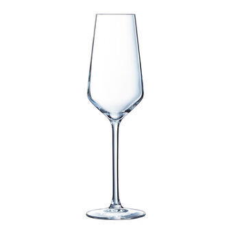 Champagne glass Éclat Ultime Transparent Glass (21 cl)