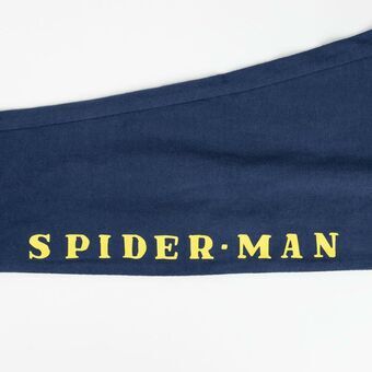 Cool Bag Spider-Man