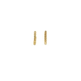 Ladies\' Earrings AN Jewels AB.EP053