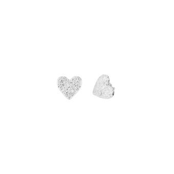 Ladies\' Earrings Radiant RY000102 Stainless steel 2 cm