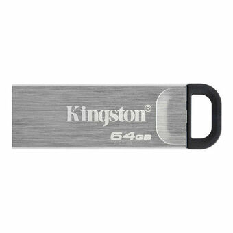 USB stick Kingston DTKN/64GB Keychain Silver Black 64 GB